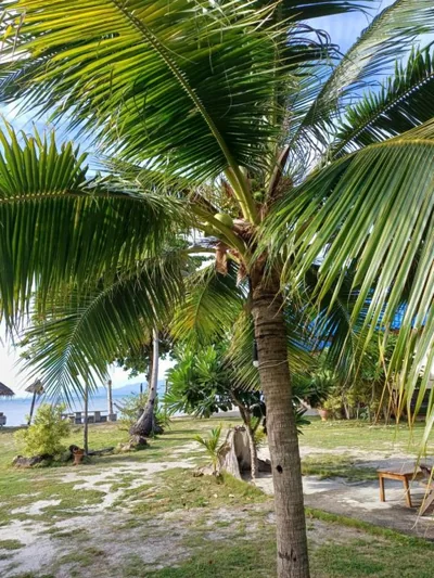 Tropicana Khophagan Resort Hotel – Photos 8