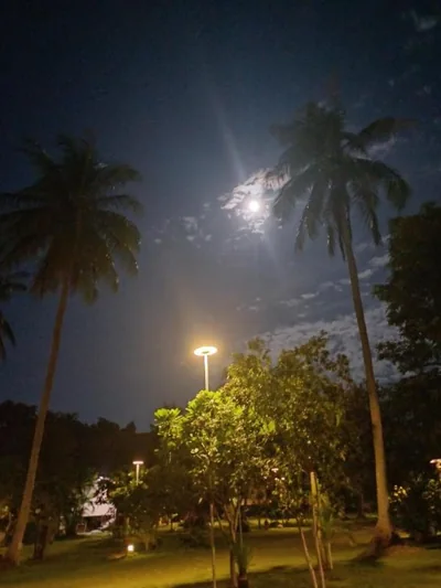 Tropicana Khophagan Resort Hotel – Photos 9